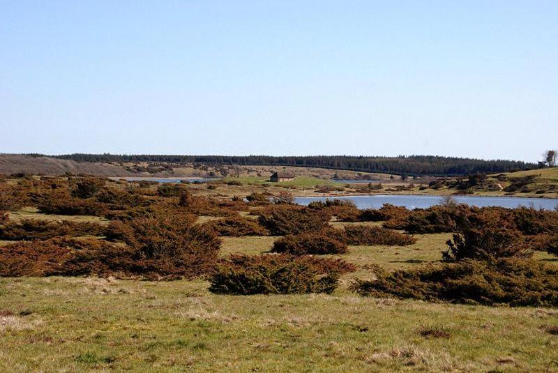 Hedelandets Camping Sevel Esterno foto